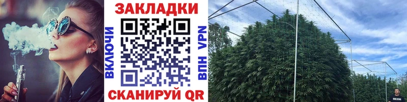 Купить наркотик аптеки Новоульяновск мега как войти  Кокаин  Мефедрон  Бошки Шишки  ГАШ 