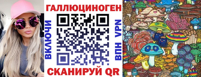 Галлюциногенные грибы Psilocybine cubensis  Новоульяновск 